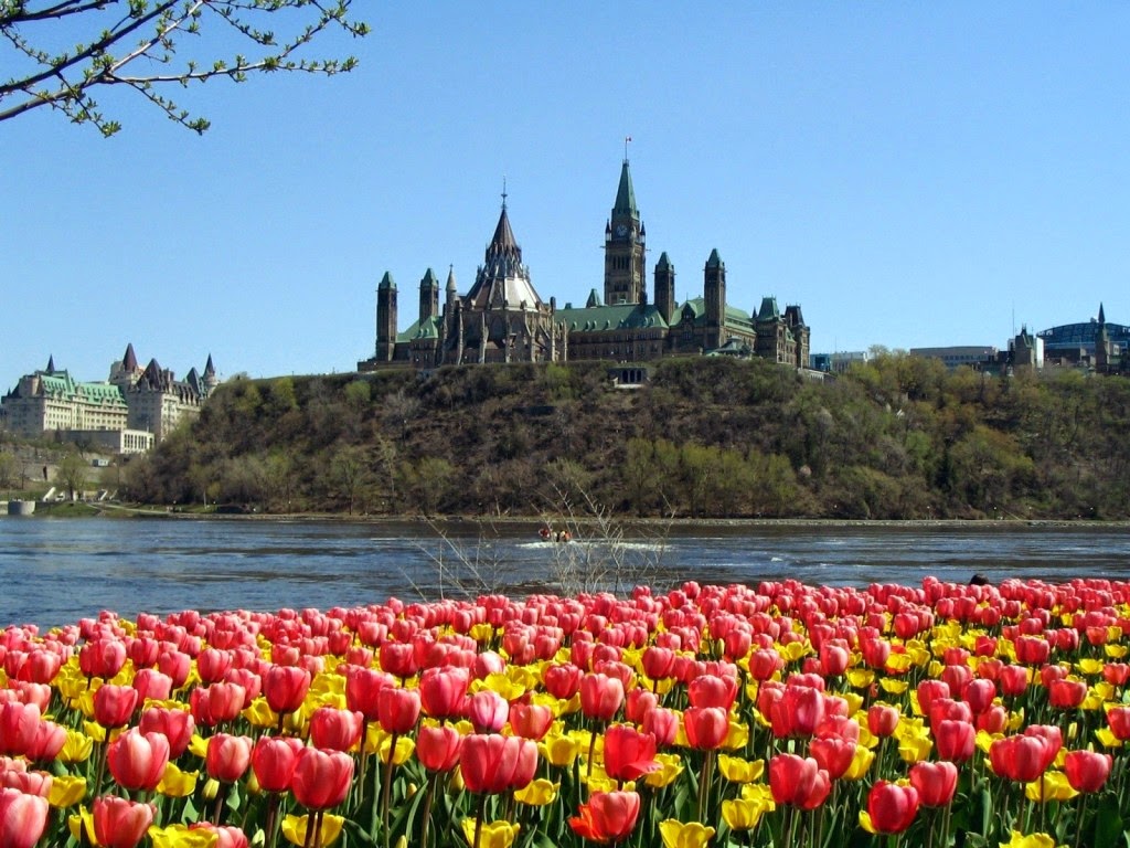 Explore Canada Immigration Services | 2285 Dunwin Dr #11, Mississauga, ON L5L 3S3, Canada | Phone: (888) 287-5150