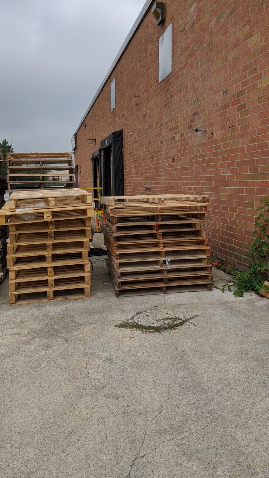 Redmond/Williams Distributing Inc. | 5190 Timberlea Blvd, Mississauga, ON L4W 2S5, Canada | Phone: (905) 602-4588