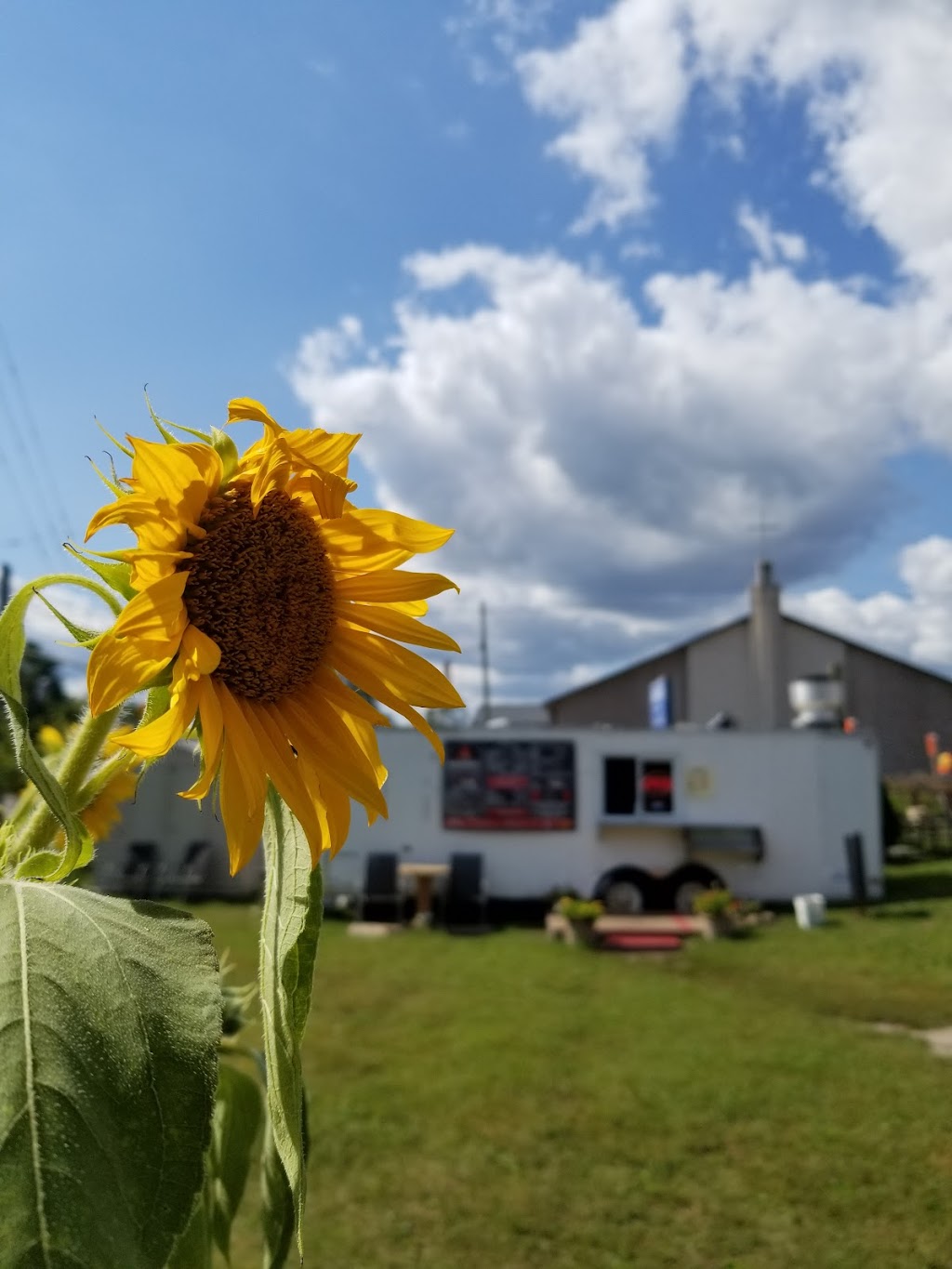 Hannahmans Roadside BBQ | 120 Donald St, Barrie, ON L4N 5G7, Canada | Phone: (705) 739-5396