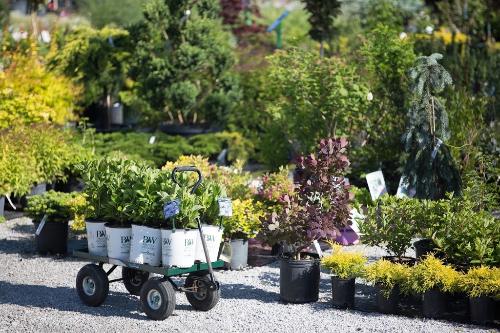 Floods Nursery Farm | 3641 County Road, 31 Albuna Townline, Ruthven, ON N0P 2G0, Canada | Phone: (519) 326-8790