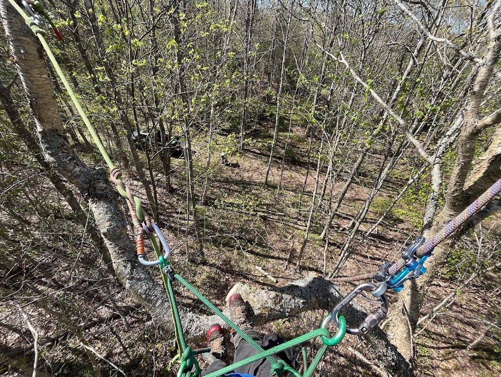 Island Arborist Tree Service | 99 Long Point Rd, North Rustico, PE C0A 1X0, Canada | Phone: (902) 218-4849