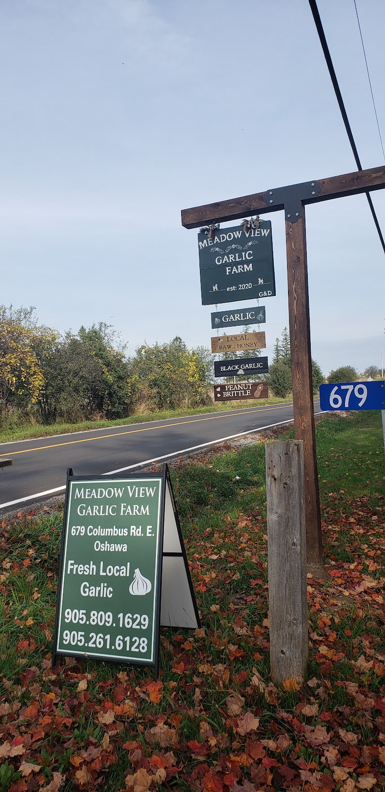 Meadow View Garlic Farm | 679 Columbus Rd E, Oshawa, ON L1H 8L7, Canada | Phone: (905) 809-1629
