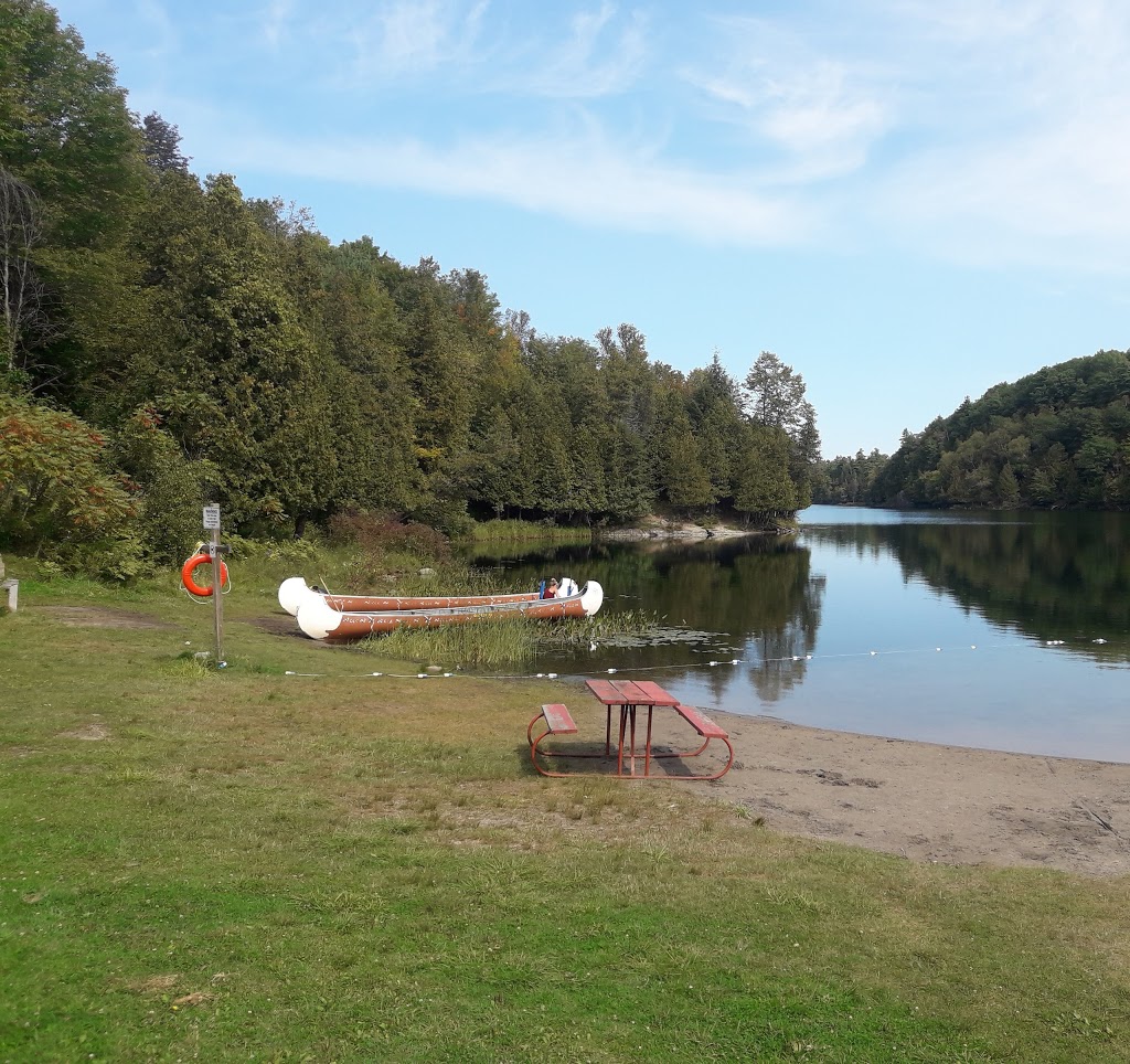 Gould Lake Conservation Area | 1540 Gould Lake Rd, Sydenham, ON K0H 2T0, Canada | Phone: (613) 546-4228