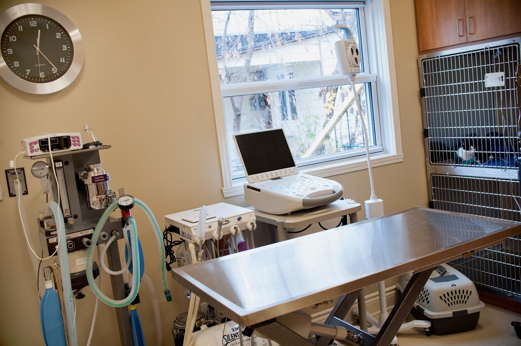 Hôpital Vétérinaire des Trois Lacs | 23 Rue Saint-Michel, Vaudreuil-Dorion, QC J7V 1E9, Canada | Phone: (450) 424-2424