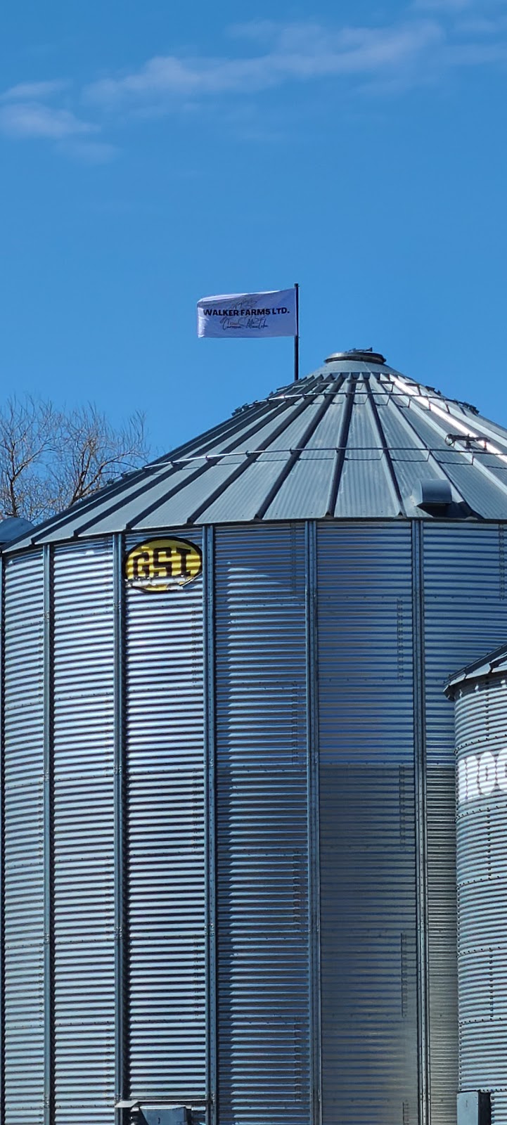 Walker Farms LTD. | 23070, RD 35N SE-30-6-4W, Carman, MB R0G 0J0, Canada | Phone: (204) 750-1841