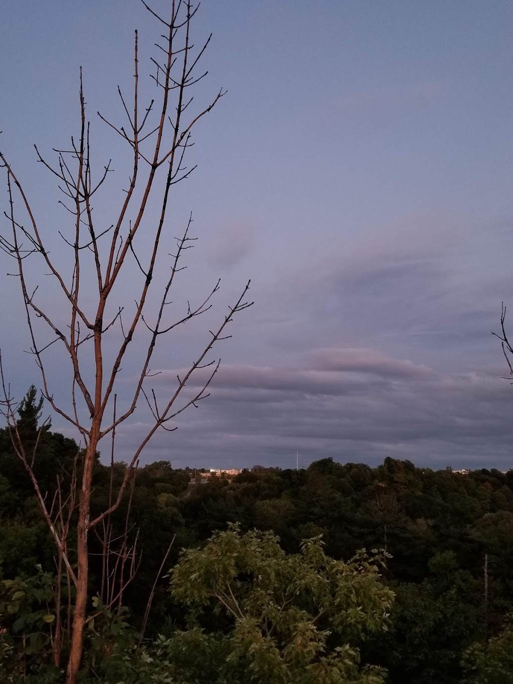 Linkwood Lane Park | 10 Linkwood Ln, Toronto, ON M3C, Canada | Phone: (416) 338-4386