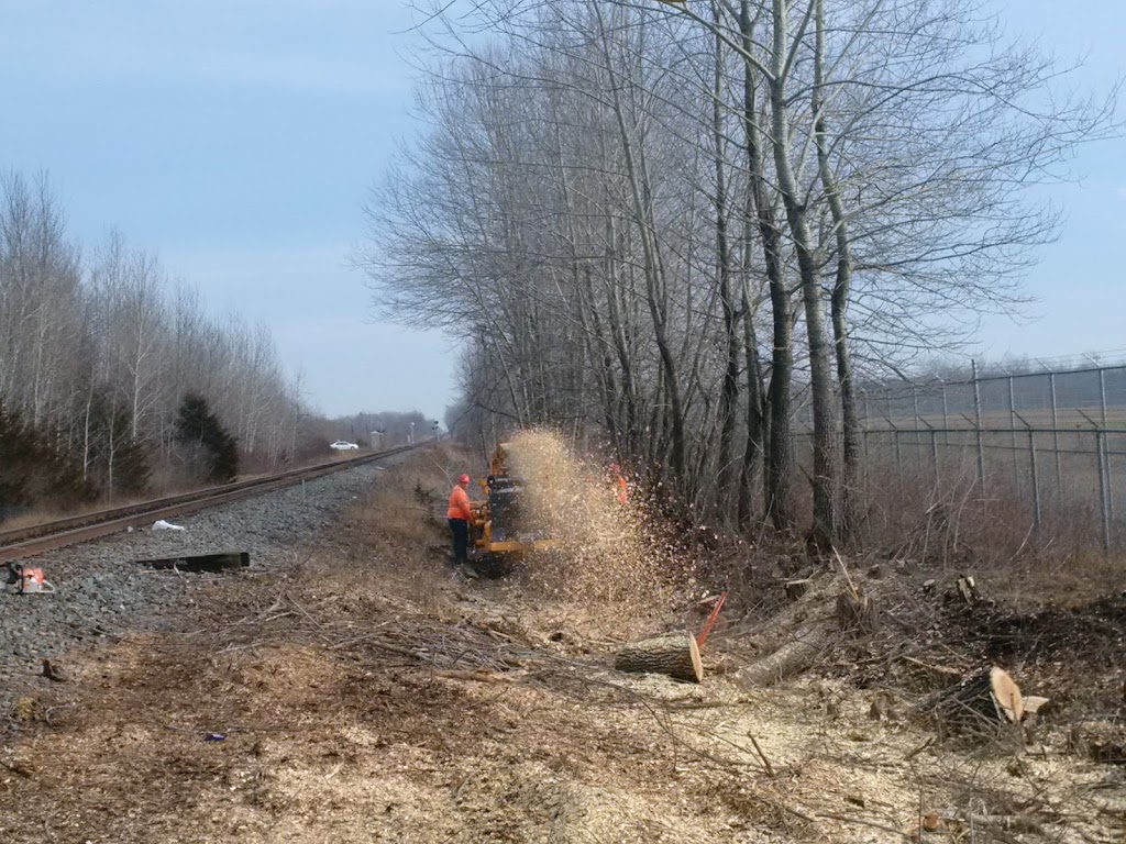 Git-R-Down Tree Service | 178 ON-30, Brighton, ON K0K 1H0, Canada | Phone: (613) 849-8789