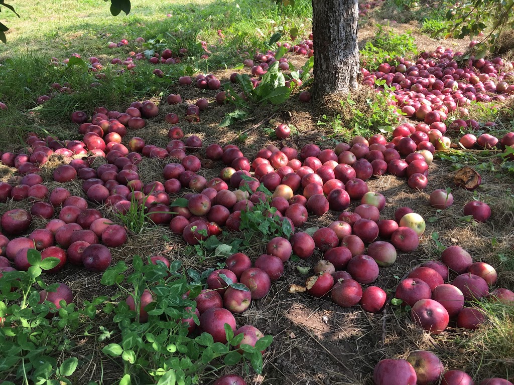 Verger Trois Pommes | 470 Rue Principale, Rougemont, QC J0L 1M0, Canada | Phone: (450) 469-0858