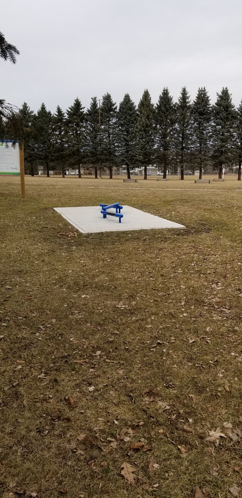 Kolin Smith Memorial Skatepark | 40-56 Hardy Ave, Tillsonburg, ON N4G 3X1, Canada | Phone: (519) 688-9011