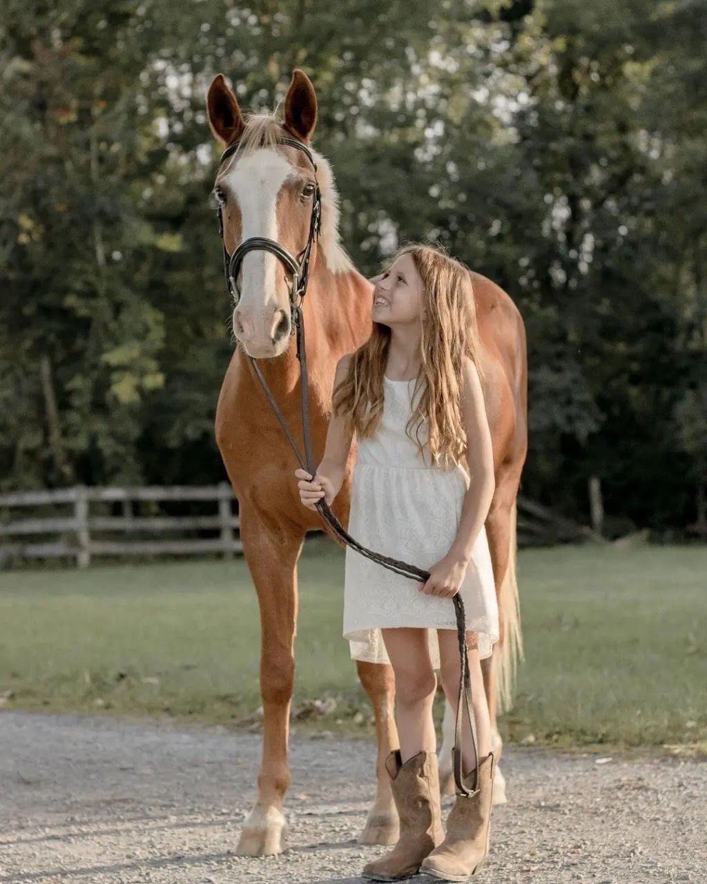 Sunrise Equestrian Centre | 612 Powerline Rd, Trenton, ON K8V 5P7, Canada | Phone: (613) 921-7856