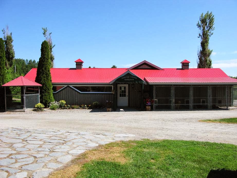 Auberge Canine Goldylock | 300 Chemin de la Rivière, Saint-François-Xavier-de-Brompton, QC J0B 2V0, Canada | Phone: (819) 845-2152
