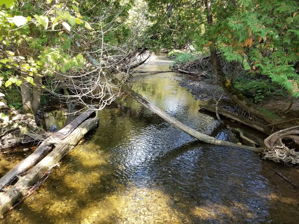 Boyne Valley Provincial Park | Shelburne, ON L0N 1S0, Canada | Phone: (705) 435-2498