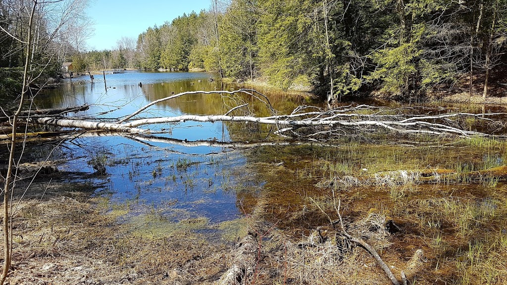 Tiffin Centre for Conservation | 8195 8th Line, Utopia, ON L0M 1T0, Canada | Phone: (705) 424-1479