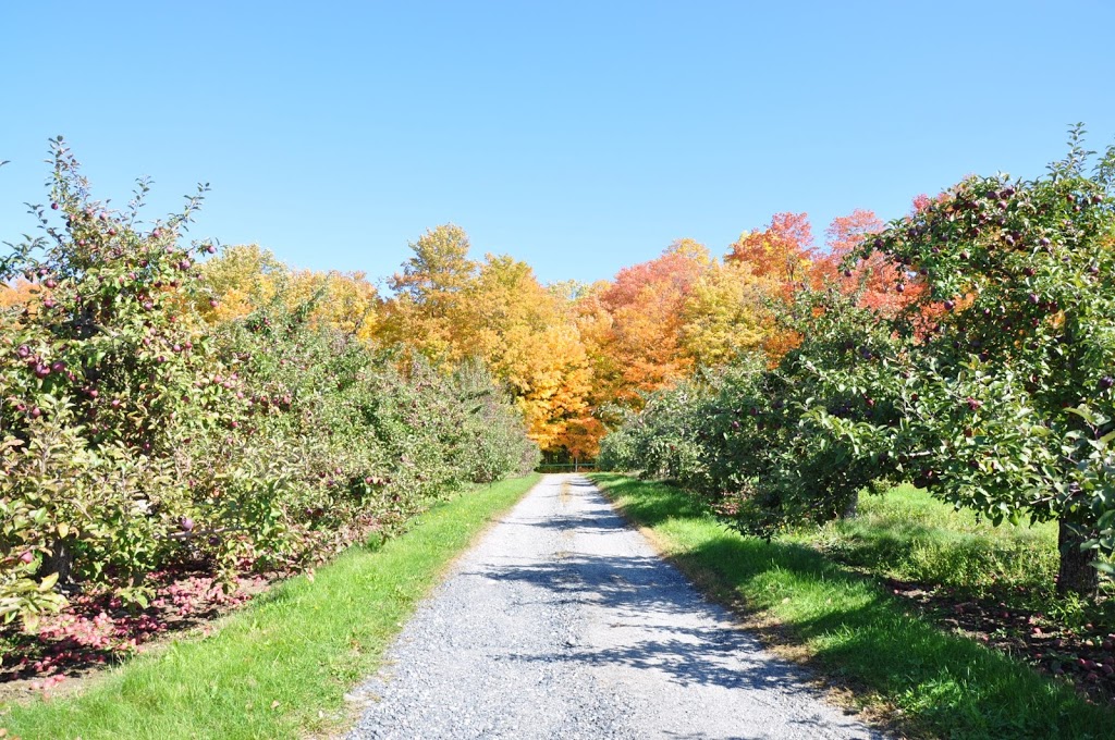 Domaine Cartier-Potelle | 277 Rang de la Montagne, Rougemont, QC J0L 1M0, Canada | Phone: (450) 469-2000