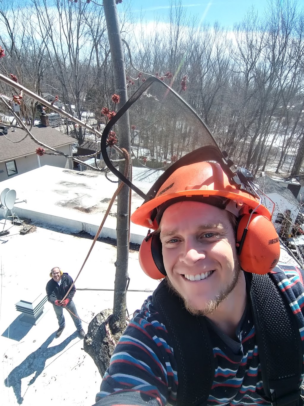 Élagage JM Abattage darbres - Laurentides | 2 Chem. des Tourterelles, Saint-Sauveur, QC J0R 1R1, Canada | Phone: (514) 833-1490