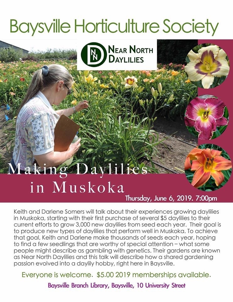 Near North Daylilies | 1036 Old Highway 117, Baysville, ON P0B 1A0, Canada | Phone: (705) 767-3601
