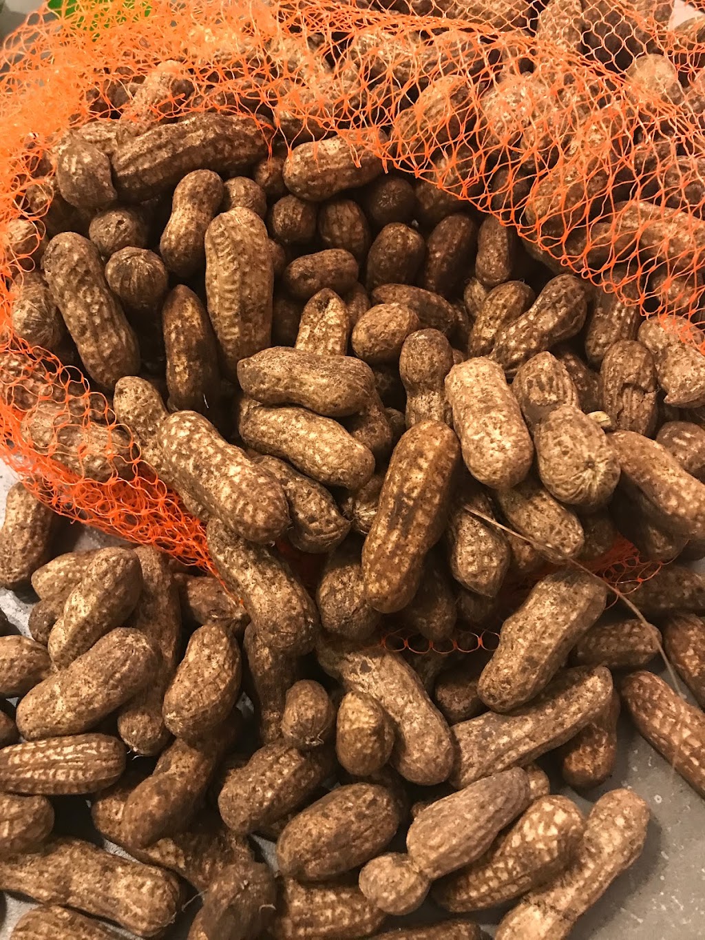 Shekina Foods | 8898 Rue Siméon-Lamarche, Mirabel, QC J7N 0Y6, Canada | Phone: (514) 430-4244