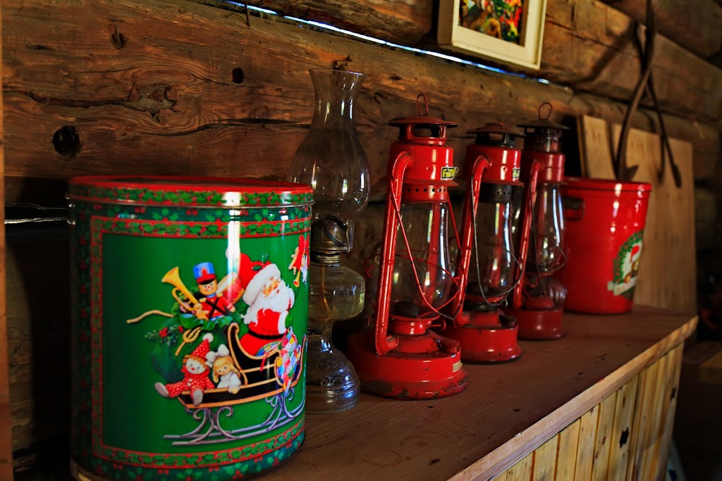 Horton Tree Farm | 5859 Slaters Rd, Gormley, ON L0H 1G0, Canada