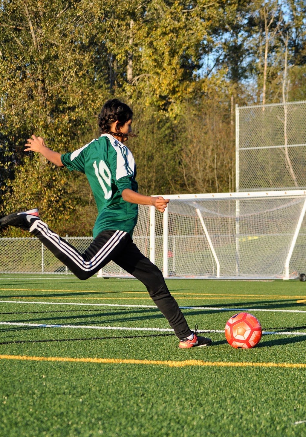 Mackie Turf | 10900 82 Ave, Delta, BC V4C 2B3, Canada | Phone: (604) 946-3293