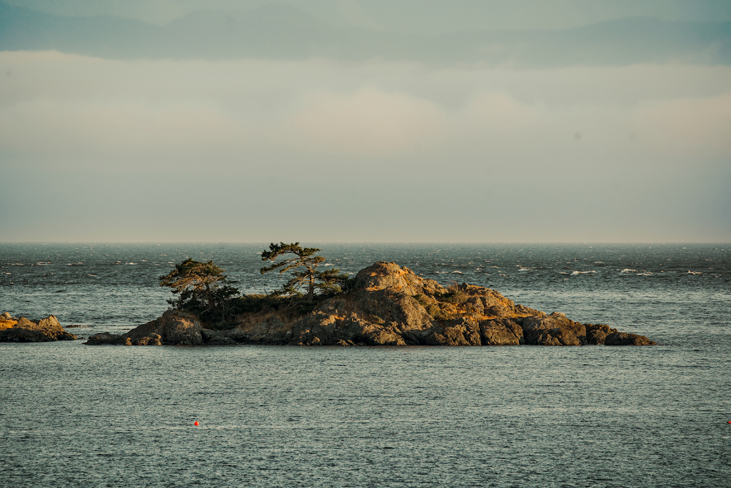 Pacific Media Group | 70 Saghalie Rd #107, Victoria, BC V9A 0G9, Canada | Phone: (778) 227-8794
