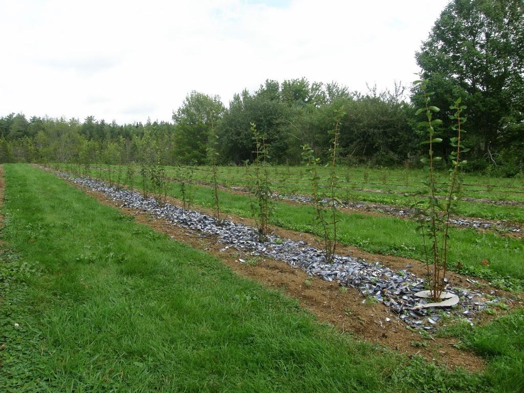 Lahave River Berry Farm Inc. | 5216 NS-332, Middle LaHave, NS B4V 3L9, Canada | Phone: (902) 766-4534
