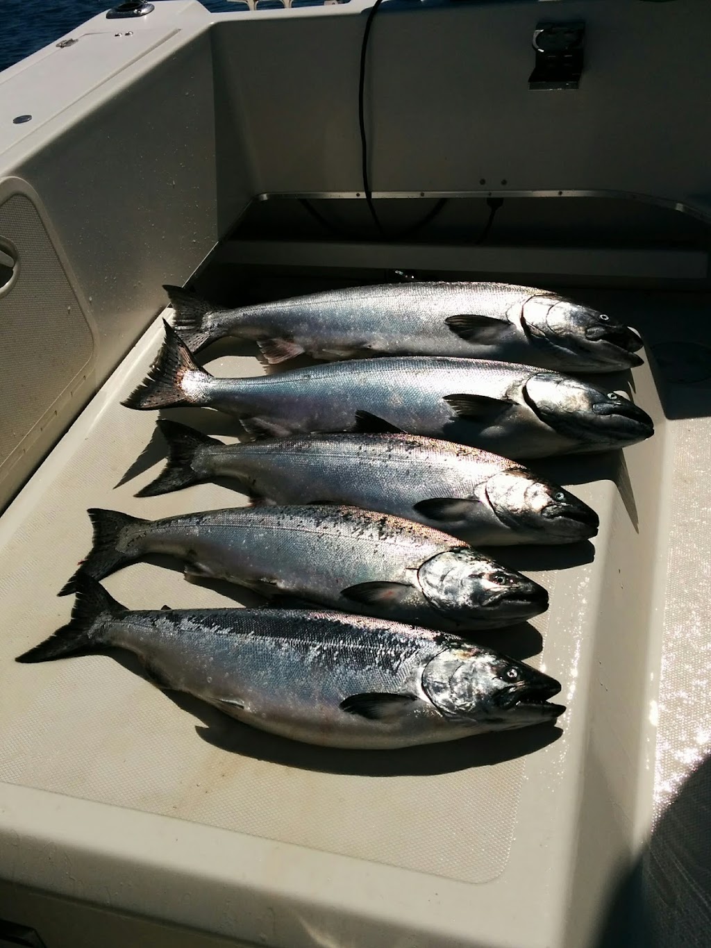 Slabrador Salmon Charters | 8868 Mclarey Ave, Black Creek, BC V9J 1A3, Canada | Phone: (250) 898-1044