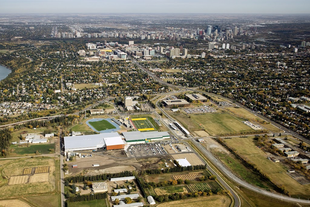 Go Community Sports | 11610 65 Ave NW, Edmonton, AB T6H 2V8, Canada | Phone: (780) 492-5999