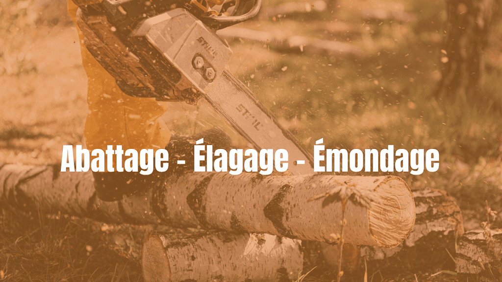 Hugo Arboriste Émondeur | 6 Rue du Marais, Brownsburg, QC J8G 0G4, Canada | Phone: (450) 275-3702