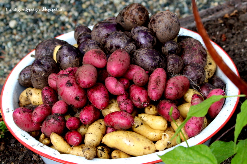 Olde Thyme Food Garden | 2330 Morland Rd, Nanaimo, BC V9X 1J1, Canada