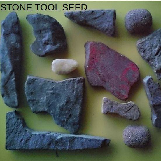 Stone-Tool-Seed | 372 Harley Rd, Harley, ON N0E 1E0, Canada | Phone: (226) 966-3382