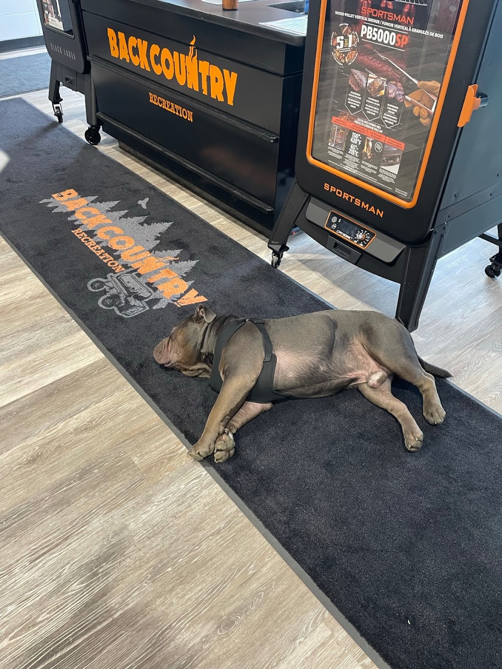 BackcountryOldes | Cedar Square, Blackfalds, AB T0M 0J1, Canada | Phone: (403) 872-4274