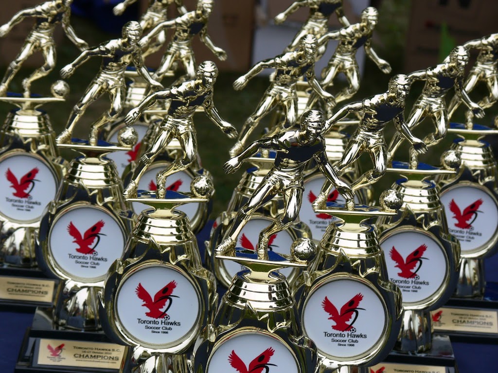 Toronto Hawks Soccer Club | 135 Fenelon Dr Unit 1607, North York, ON M3A 3K7, Canada | Phone: (416) 762-6637