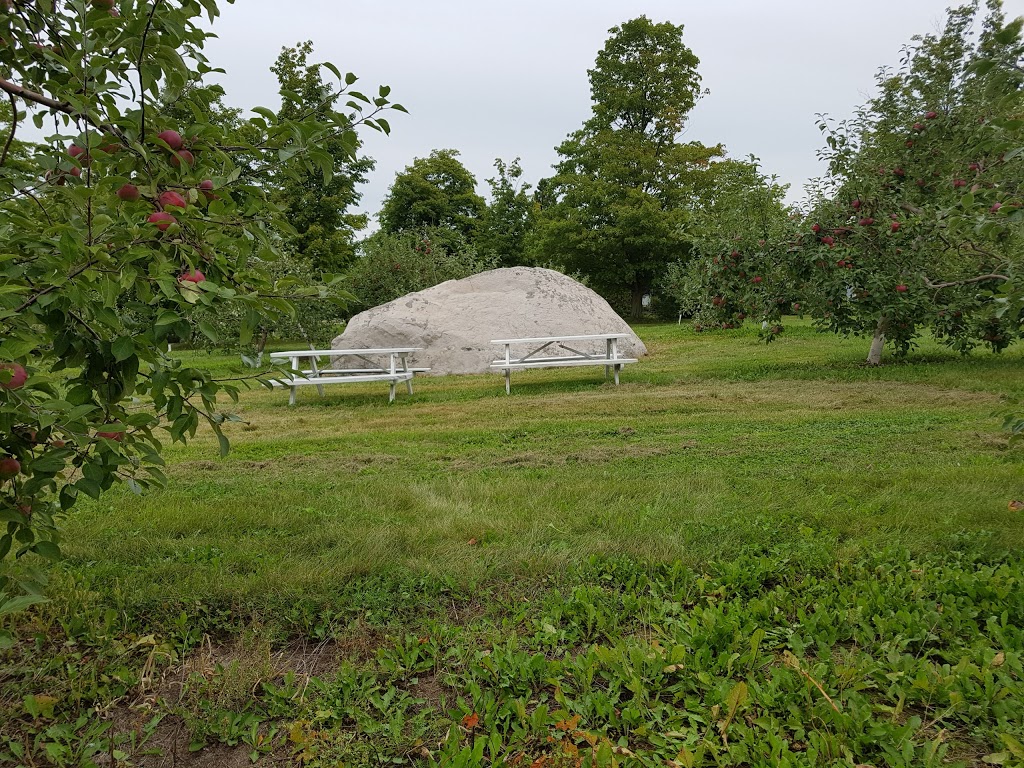 Verger Gaudreau | 1304 Chemin Bellevue O, Cap-Saint-Ignace, QC G0R 1H0, Canada | Phone: (418) 246-5607