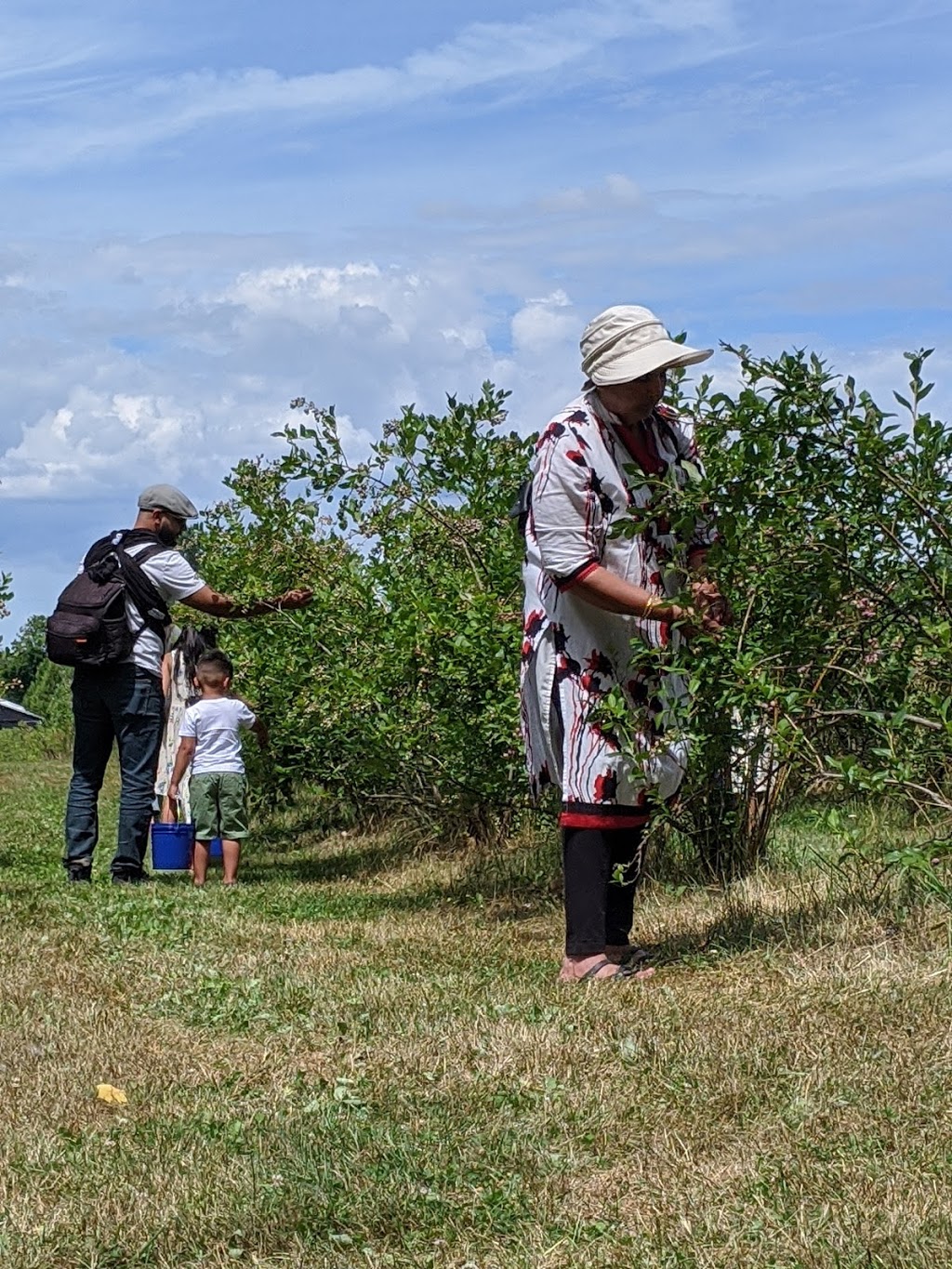 Meanwhile Blueberry Farm | 2779 Herald Rd, Sharon, ON L0G 1V0, Canada | Phone: (905) 392-7644