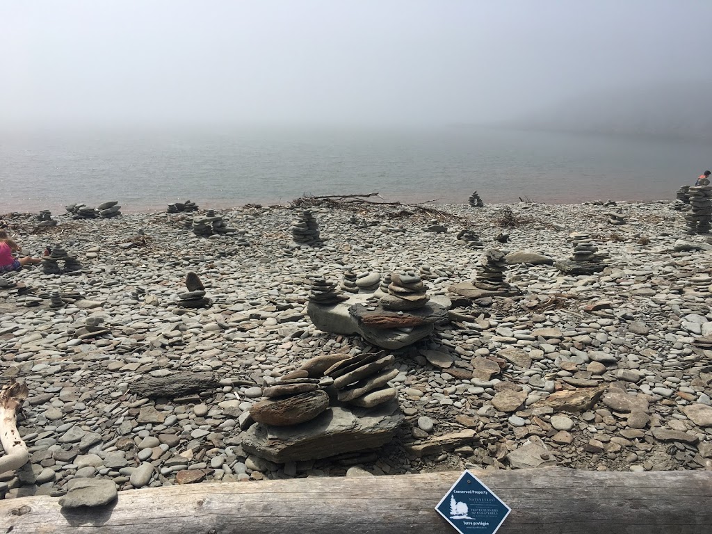 Cape Enrage Nature Preserve | 650 Cape Enrage Rd, Waterside, NB E4H 4Z4, Canada | Phone: (506) 457-2398