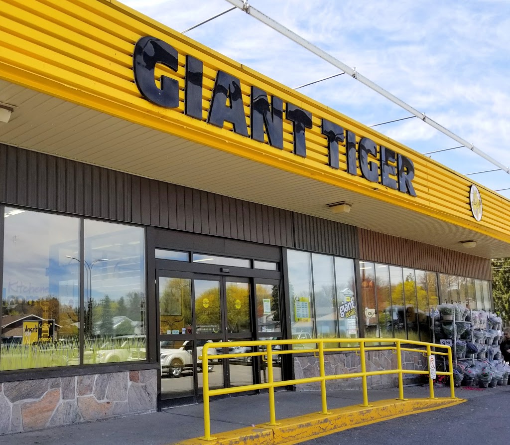 Giant Tiger | 421 Greenbrook Dr, Kitchener, ON N2M 4K1, Canada | Phone: (519) 569-8553