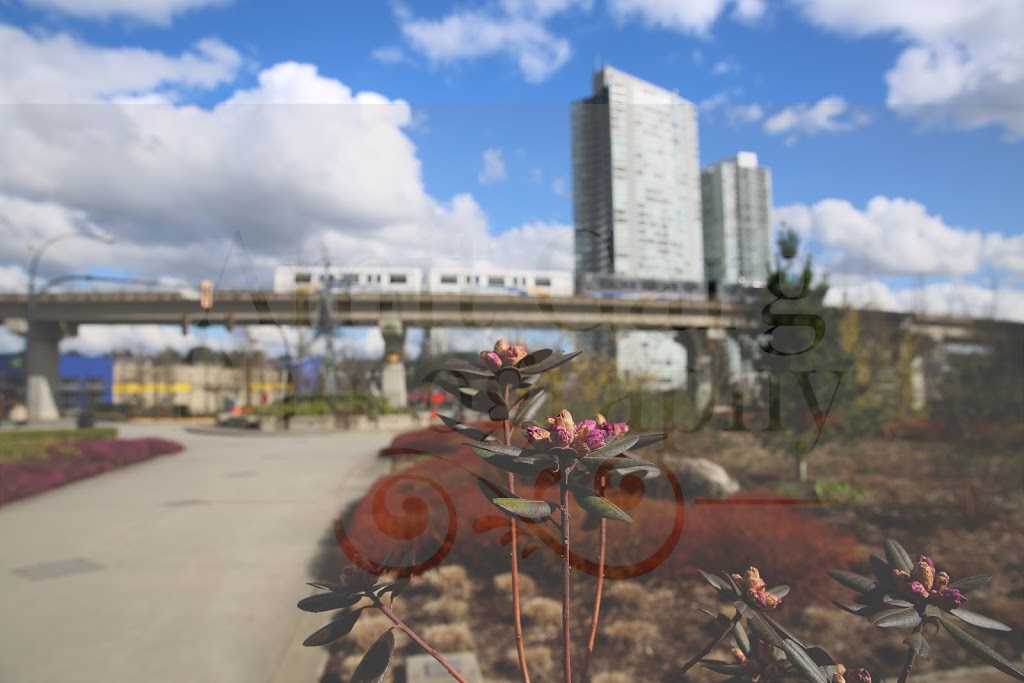 Amit Garg Photography and Videography | 9644 161 St, Surrey, BC V4N 3K8, Canada | Phone: (604) 512-4446
