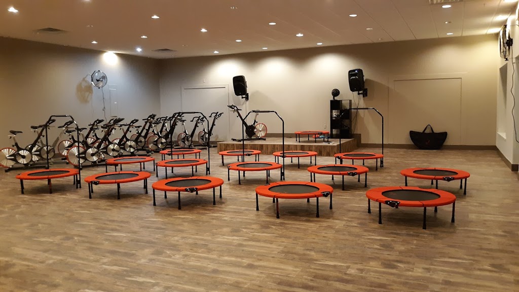 Primal ReBOUND | 5660 Clinton St, Elma, NY 14059, USA | Phone: (716) 225-9030