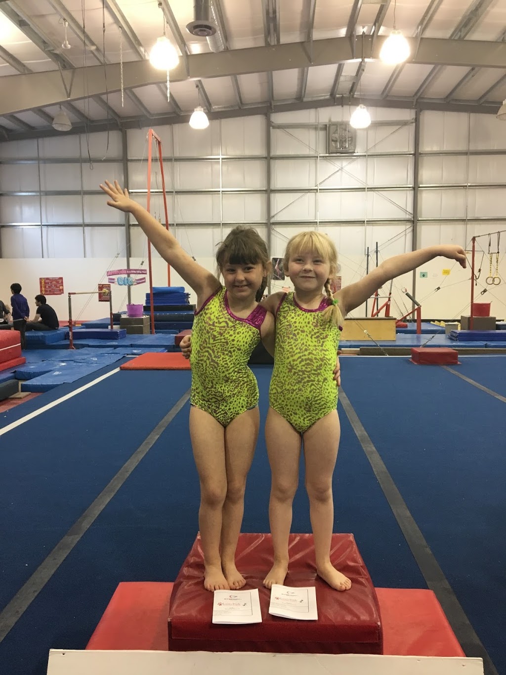 Lions Pride Gymnastics | 1060 Henry Eng Pl, Victoria, BC V9B 6B2, Canada | Phone: (250) 383-3547