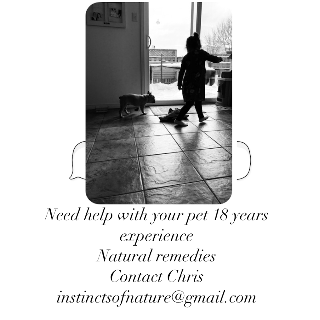 Instincts of Nature | 335384 33rd Line, Embro, ON N0J 1J0, Canada | Phone: (226) 883-0528