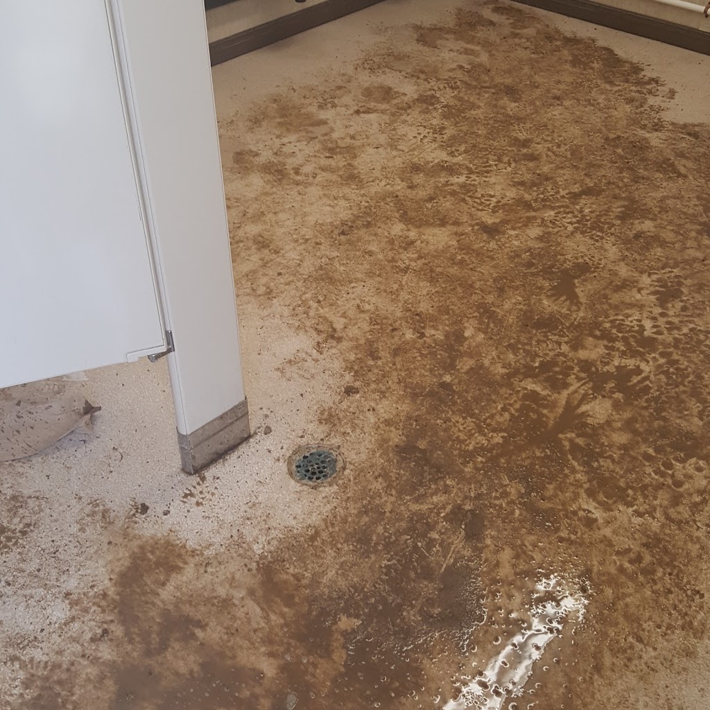 Stewandy Cleaners Inc | 133a Main St S, Brampton, ON L6Y 1N2, Canada | Phone: (647) 992-1756