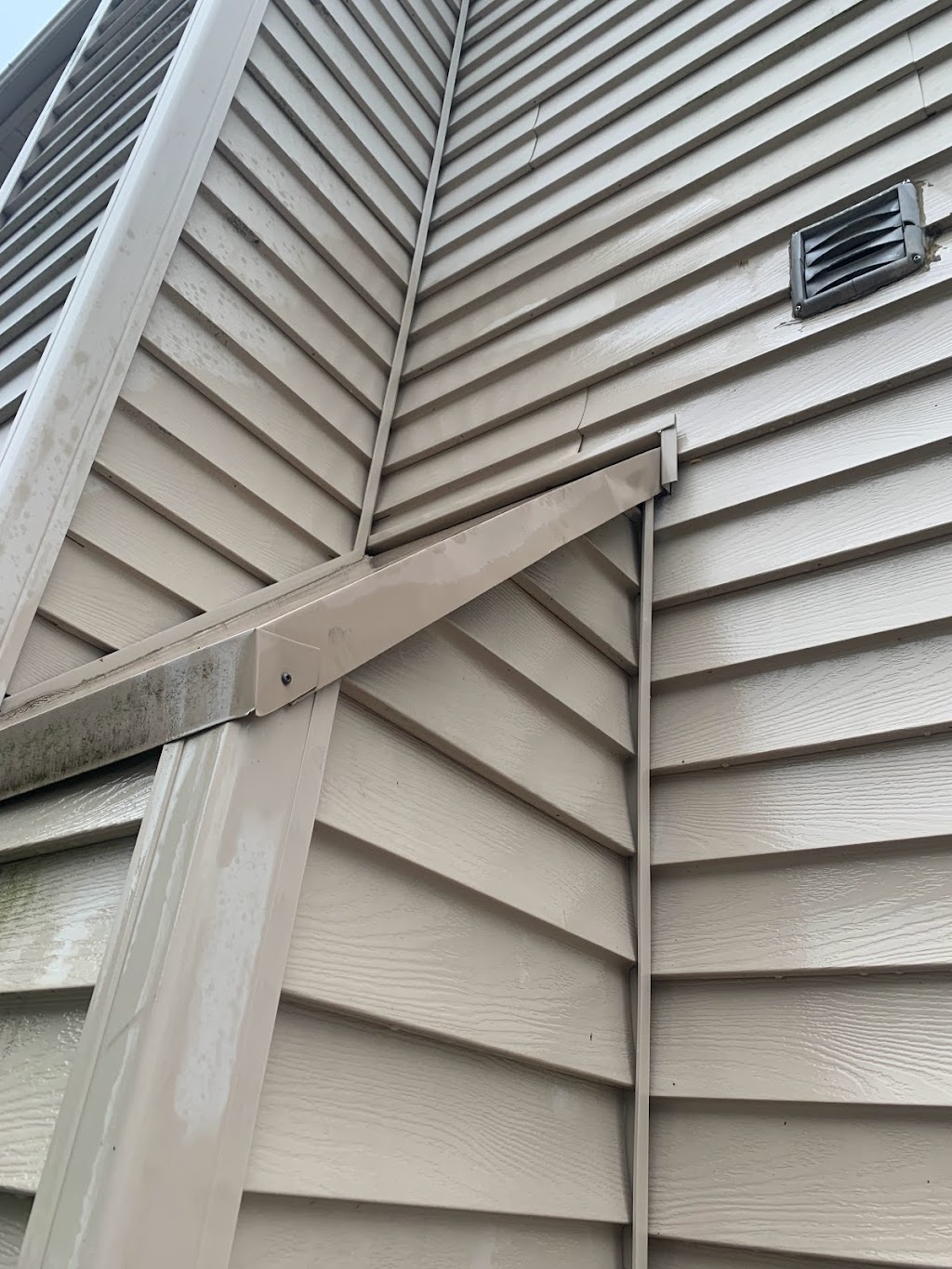 Zolo Pest Control Inc | 70 Cotton St, Bowmanville, ON L1C 5H2, Canada | Phone: (905) 244-1214