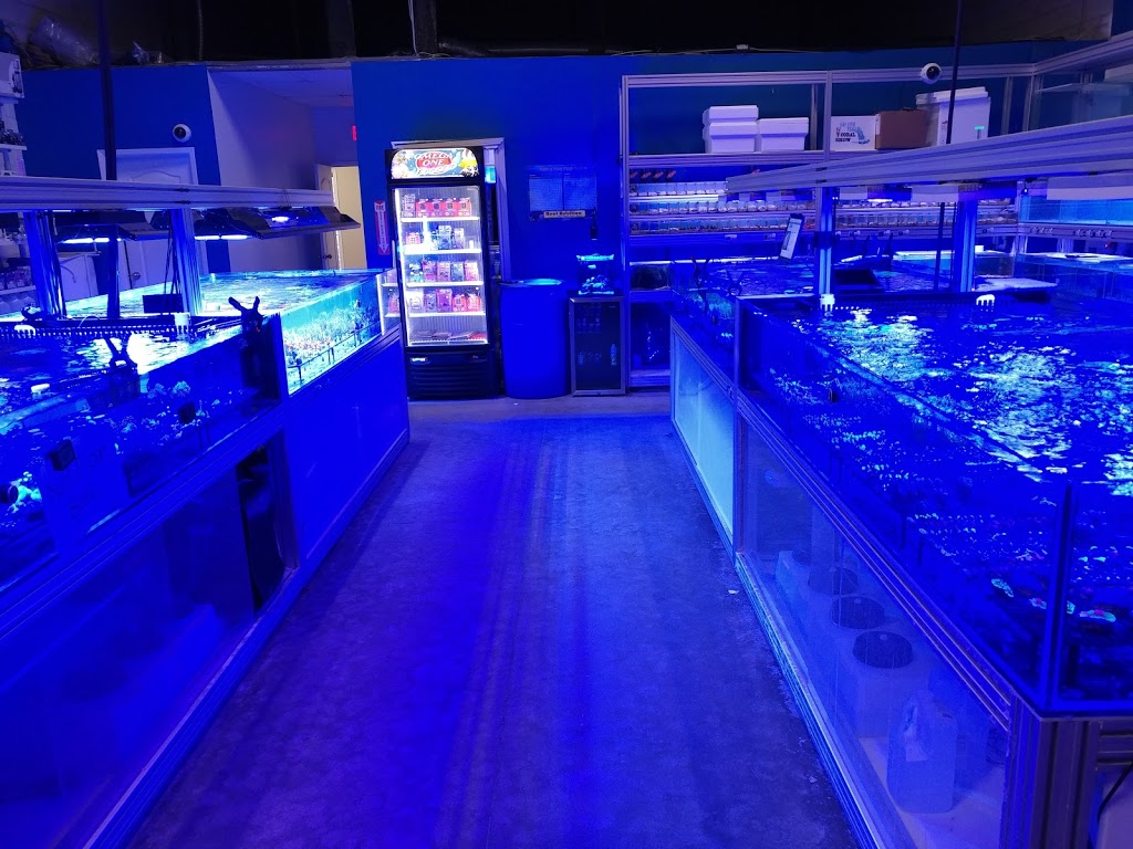 Canada Corals Inc. | 931 Brunette Ave, Coquitlam, BC V3K 6T5, Canada | Phone: (236) 313-3474