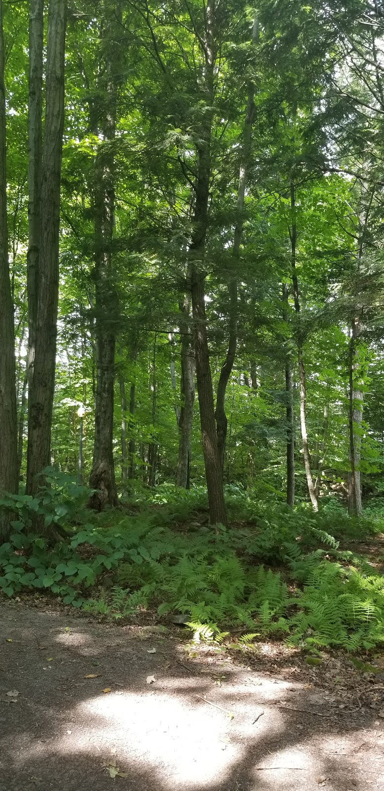 Parc du Marbre | Rue du Taillandier, Mirabel, QC J7N 3K4, Canada | Phone: (450) 475-8653