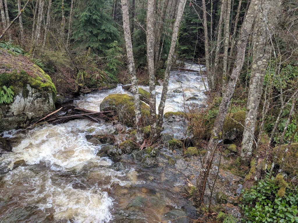North Hoy Creek Park | 2231 Parkway Blvd, Coquitlam, BC V3E 3P8, Canada | Phone: (604) 927-3000