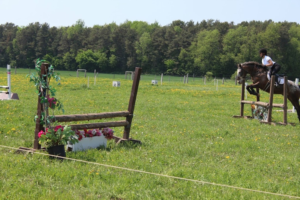 DenMar Farms | 526 Concession 17 West, Tiny, ON L9M 0K5, Canada | Phone: (705) 528-2568