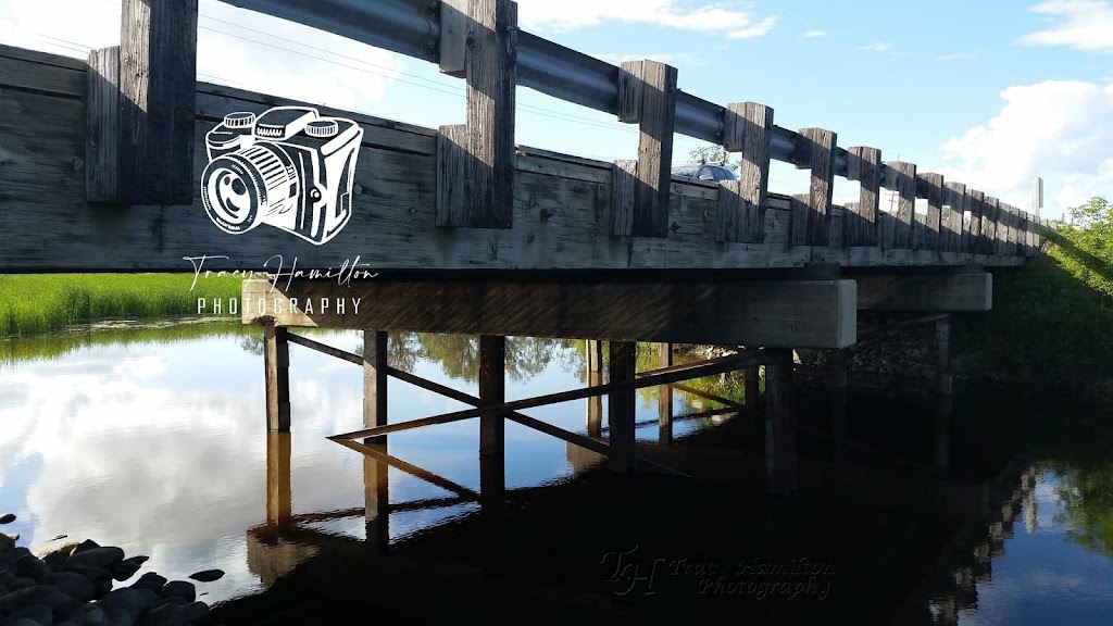 Tracy Hamilton Photography | 1650 Leila Ave #4, Winnipeg, MB R2P 2E5, Canada | Phone: (204) 330-9120