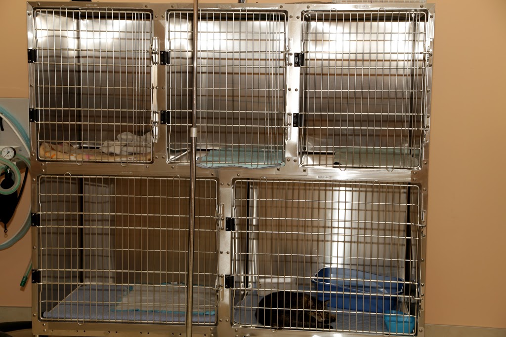 Summerside Vet Hospital Edmonton | 6941 Ellerslie Rd SW, Edmonton, AB T6X 2A1, Canada | Phone: (780) 466-4030