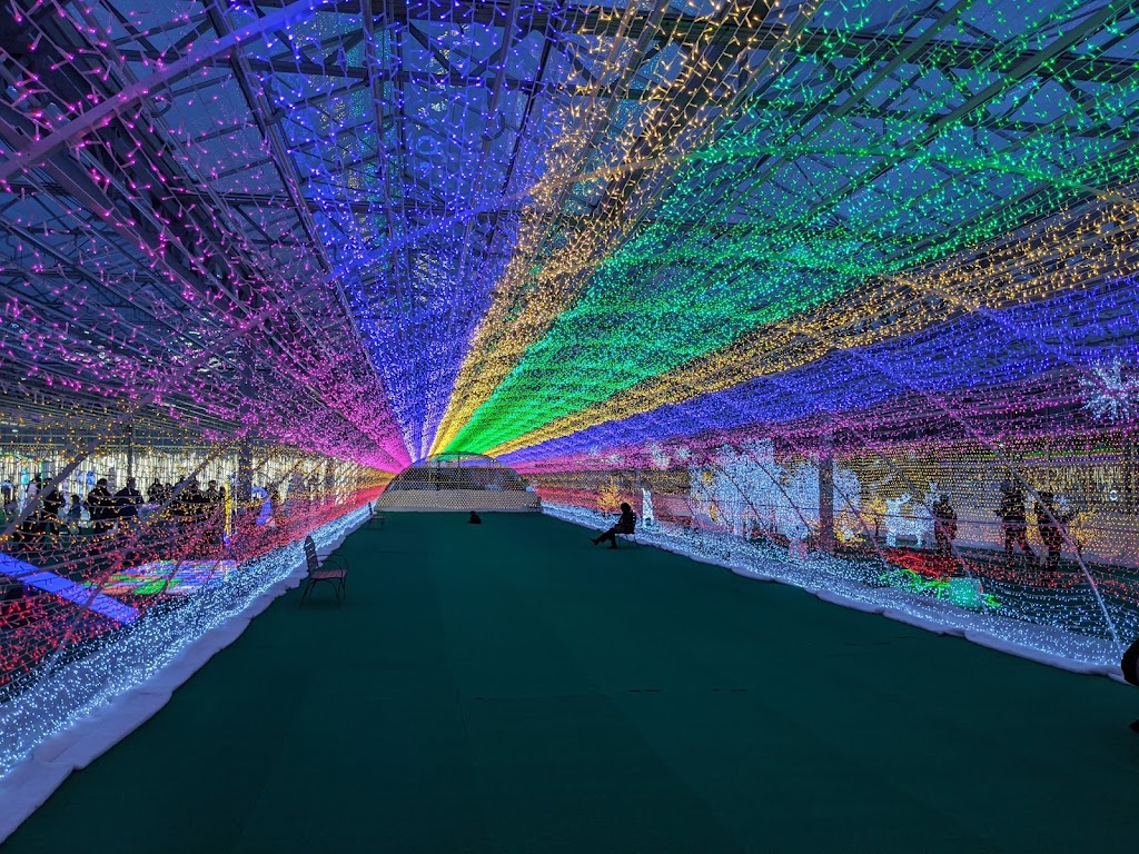 Enjoy Light Festival | 101 Riel Dr, St. Albert, AB T8N 3X4, Canada | Phone: (901) 504-7324