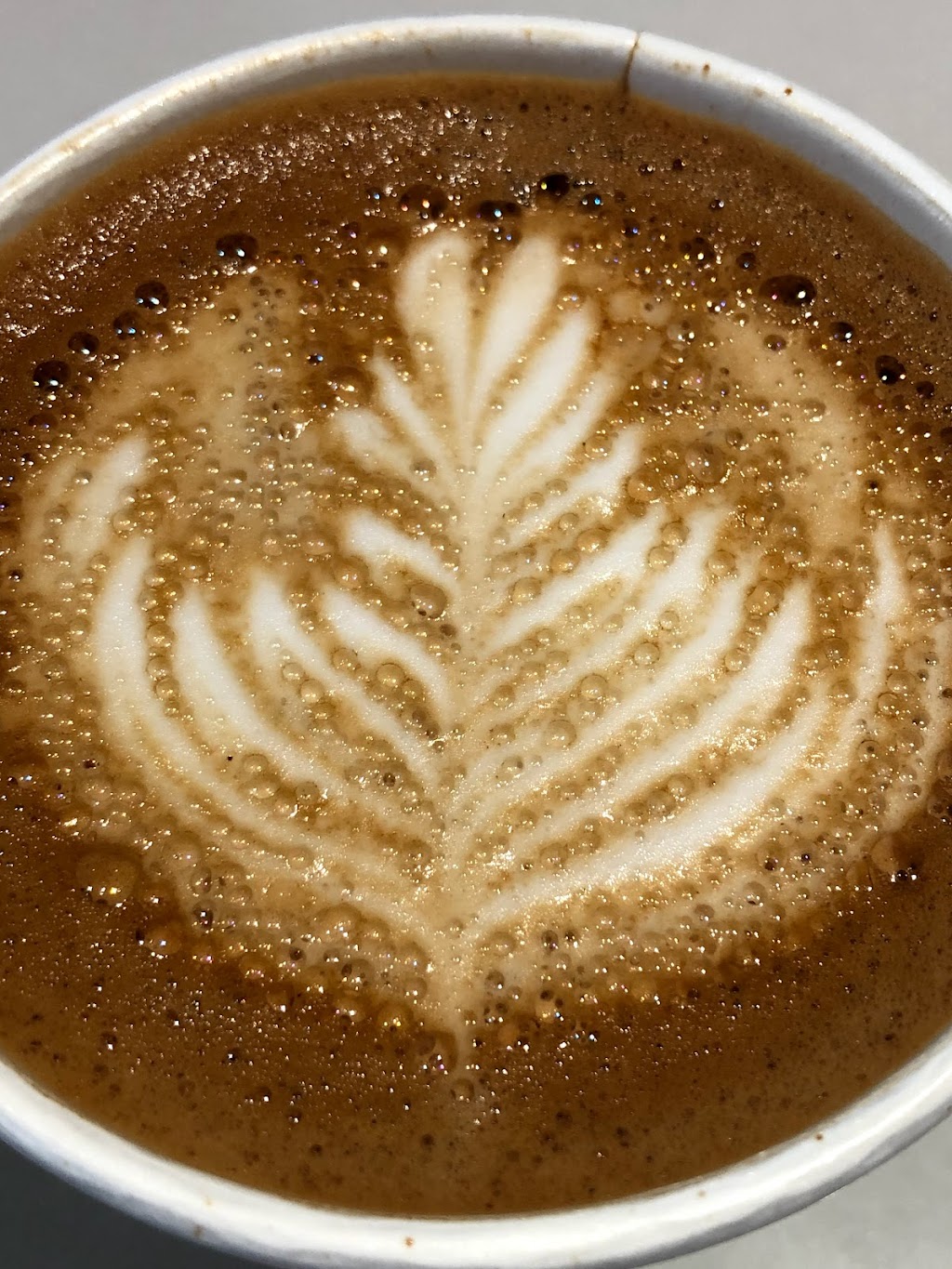 49th Parallel Cafe | 488 Rue McGill, Montréal, QC H2Y 2H2, Canada | Phone: (514) 788-5130